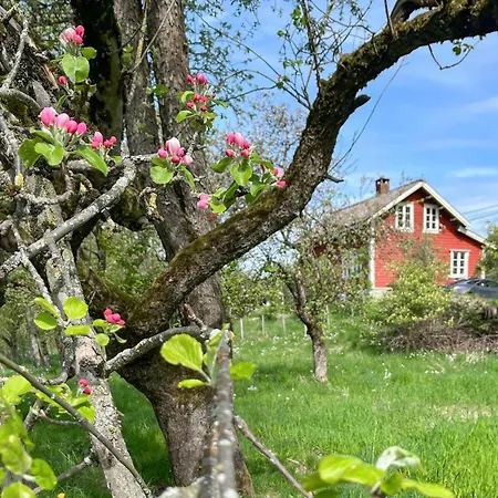 3 Bedroom Beautiful In Vik I Sogn بيت للعطل